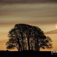 Avebury Clump and the Moon