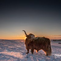 Having a Scratch in the Sunset