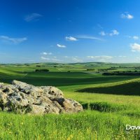 View Over the Marlborough Downs