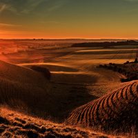 Sunrise Over the Downs