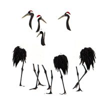 Red Crowned Cranes