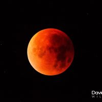 Blood Moon Over Wiltshire (prt 2)