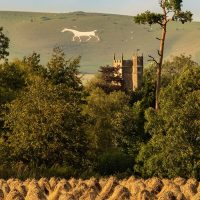 Wheat Sheaves at Marden (prt 2)