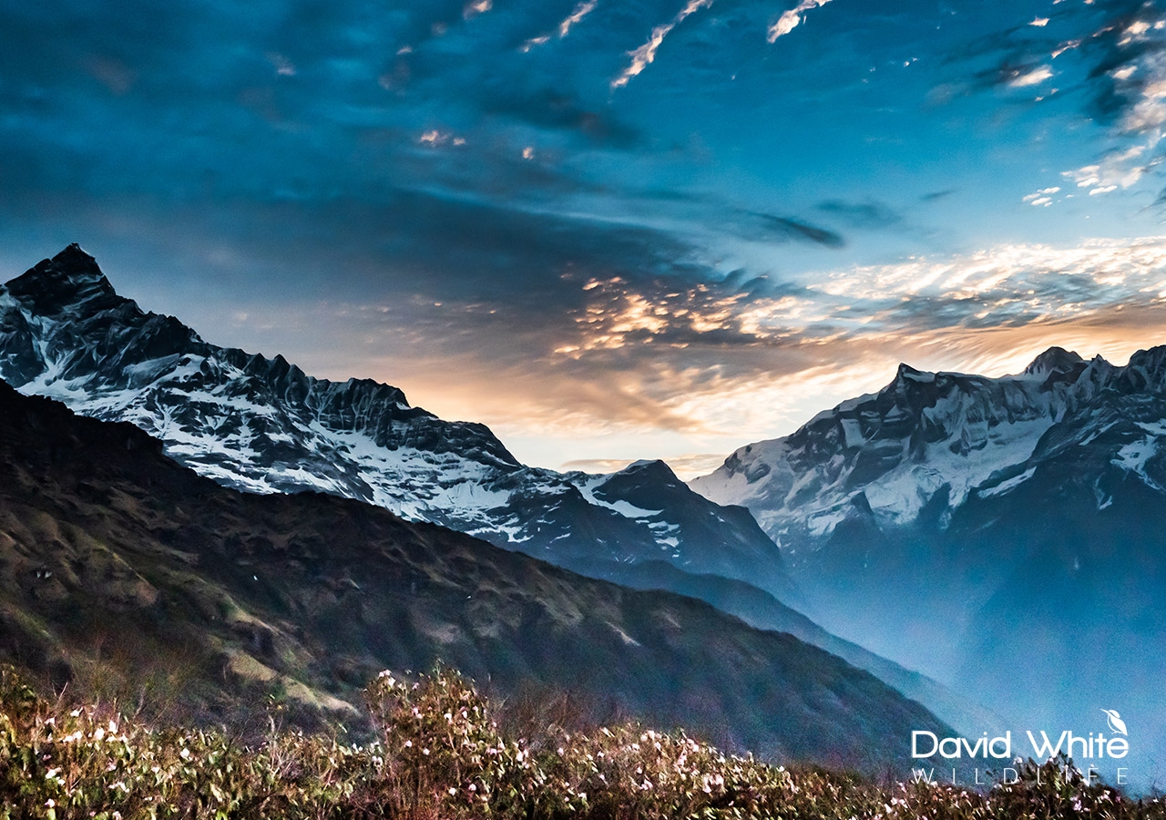 The Mardi Himal Machapuchare and the Annapurnas