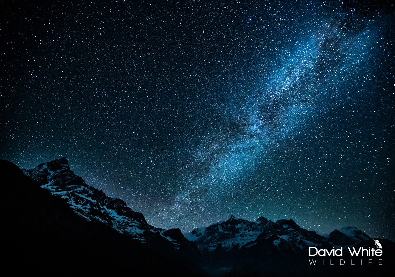 Star Trails Over the Annapurnas